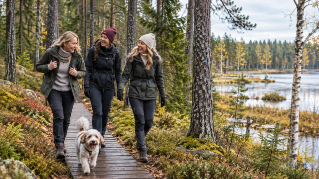 Eesti kauneimad sügisesed matkarajad viivad metsa, järvede ja mere äärde