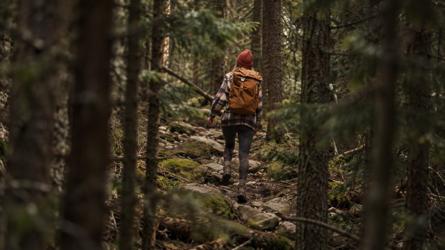 Eesti kauneimad sügisesed matkarajad viivad metsa, järvede ja mere äärde