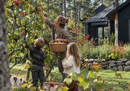 Scandinavian HOME