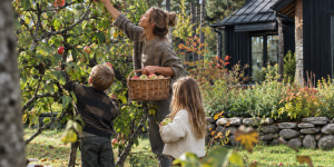Scandinavian HOME