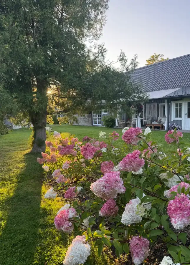 Miks tahame jälle kodusid, mis ei näe välja uued?